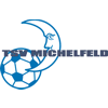 TSV 1895 Michelfeld e.V. I