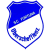 SC Fortuna Oberschefflenz 1925 e.V. I